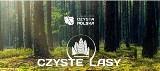 Akcja „Czyste Lasy” w Niepołomicach. Sprzątanie Puszczy Niepołomickiej i moc ekoatrakcji na rynku. Przyjadą Rafał Sonik i Mateusz Ligocki