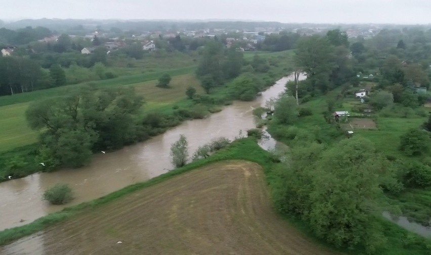 Zdjęcia Białej, w rejonie ogródków działkowych