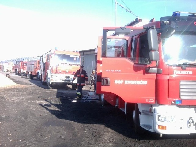 Pożar w Skrajni Blizanowskiej gasiły cztery jednostki straży pożarnej.