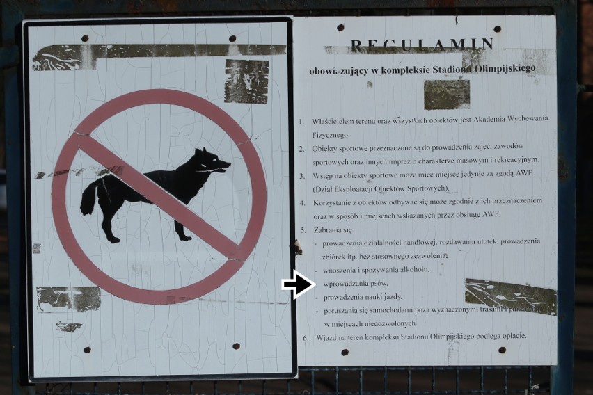 Zakaz wprowadzania psów na Stadion Olimpijski jest niezgodny z prawem