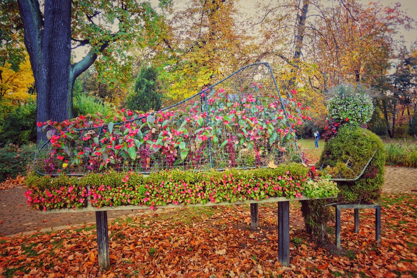 Jesień w gliwickim parku Chopina. Jak tu kolorowo! Koniecznie zobaczcie. To kapitalne miejsce na spacer