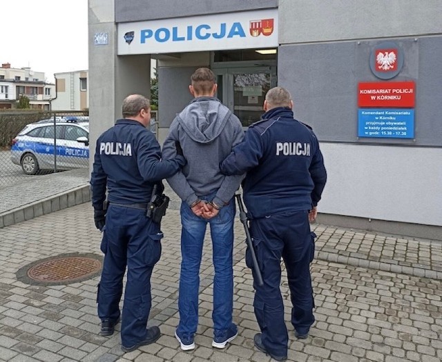 Do zatrzymania 48-latka przez funkcjonariuszy z Komisariatu Policji w Kórniku doszło 18 kwietnia. Dwa dni wcześniej dokonał aktów wandalizmu na kórnickim Placu Niepodległości.