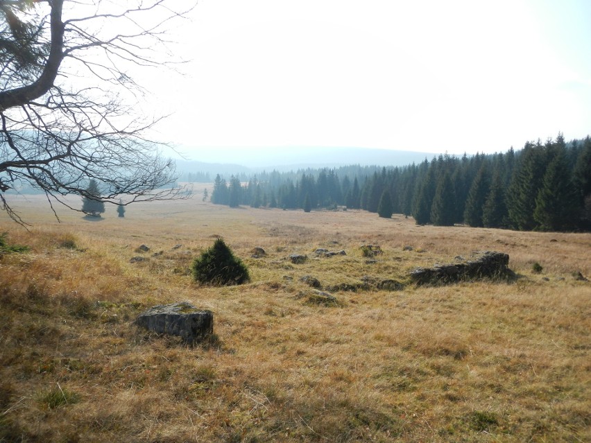 Wyprawa na Stóg, jeśli w górach, to Izerski. Można pieszo lub gondolą