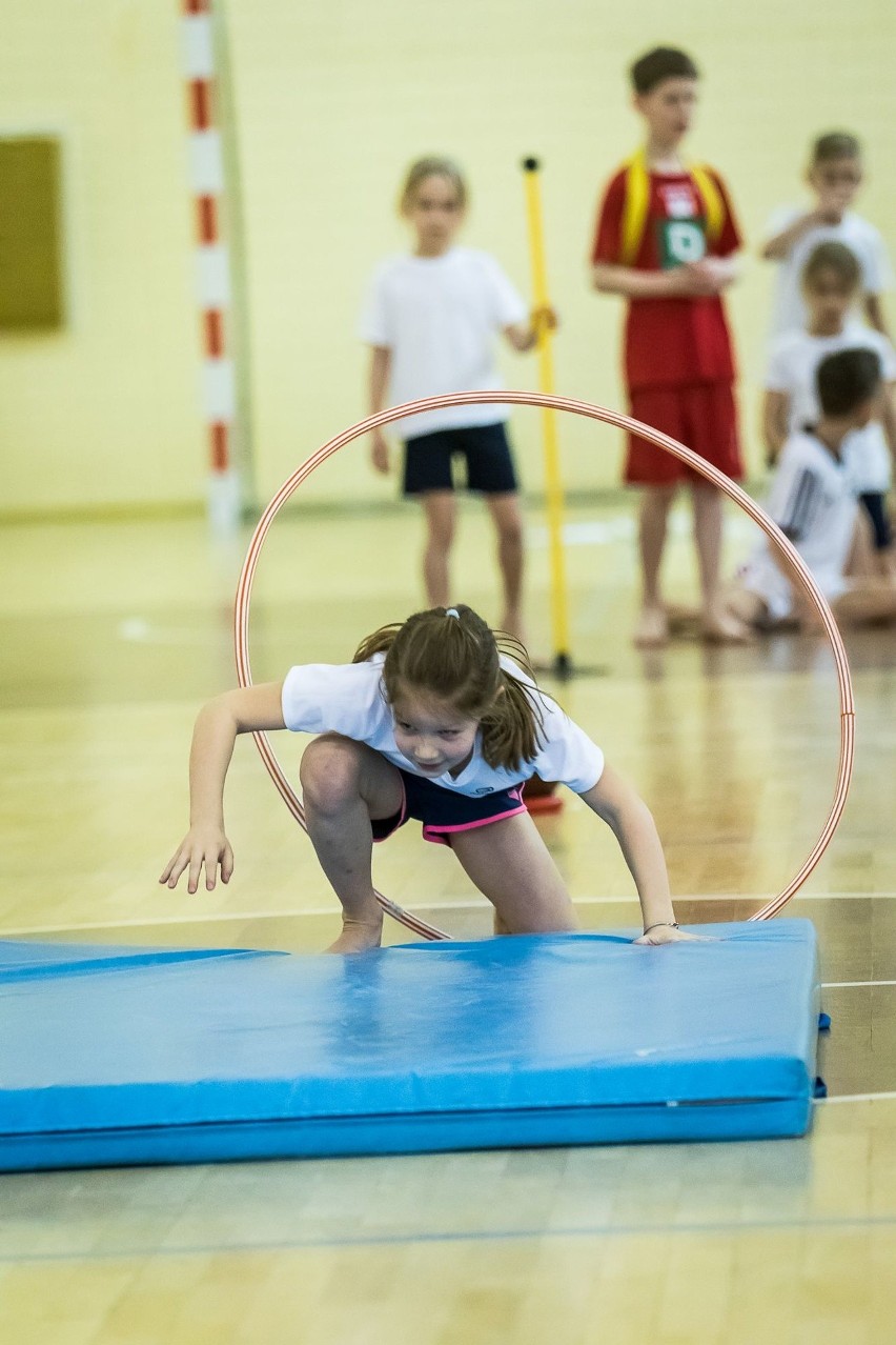 Biały Miś 2017: Niespodzianki, zacięta walka i wielkie liczenie punktów [galeria]