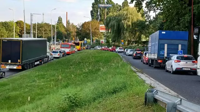 Nowa ścieżka ma połączyć aleję Armii Krajowej i budowaną Aleję Wielkiej Wyspy. Na razie jednak wykonawcy życzą sobie za dużo za wykonanie tego zadania