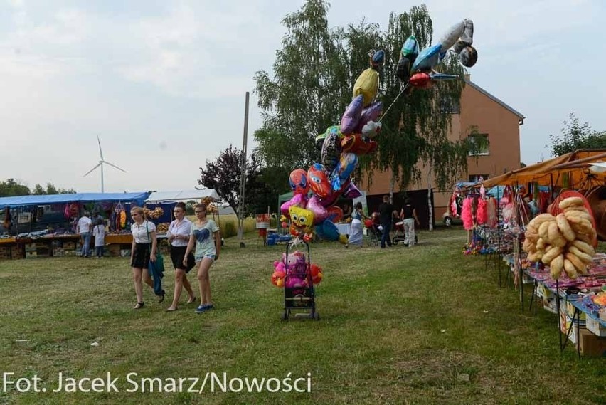 Sołtysiada 2014 w Dobrzniu nad Wisłą [zdjęcia]