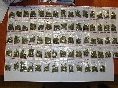 Handlarz narkotyków zatrzymany w Raciborzu
