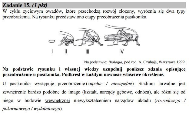 Stara matura 2016: Biologia rozszerzona [ODPOWIEDZI, ARKUSZ CKE]