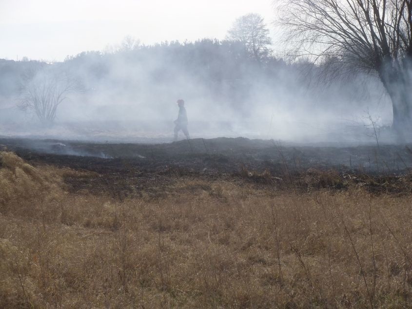 Pożar łąki na obrzeżach Ciechocinka