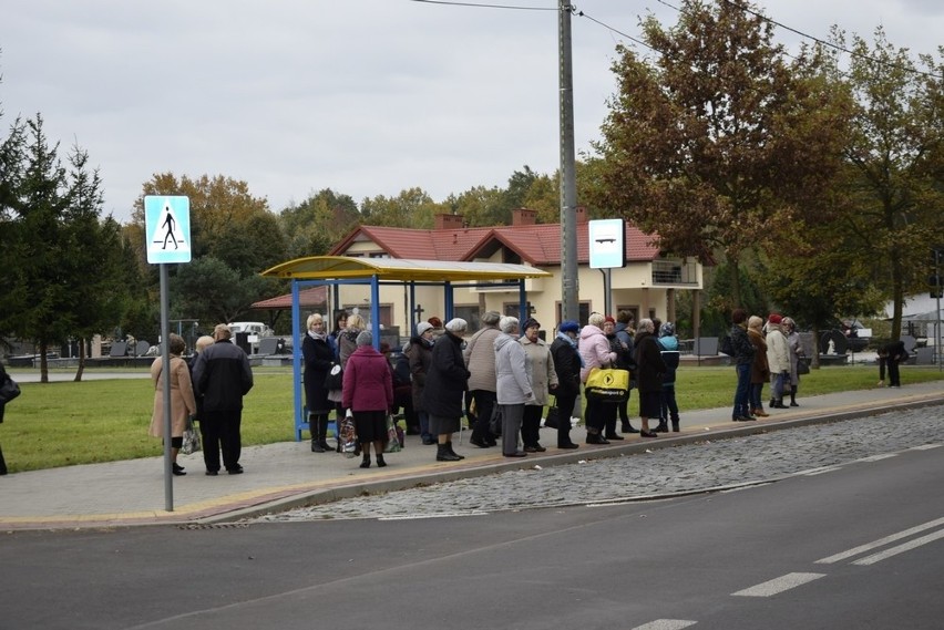 Wygląda na to, że po ruchliwym Dniu Wszystkich Świętych...