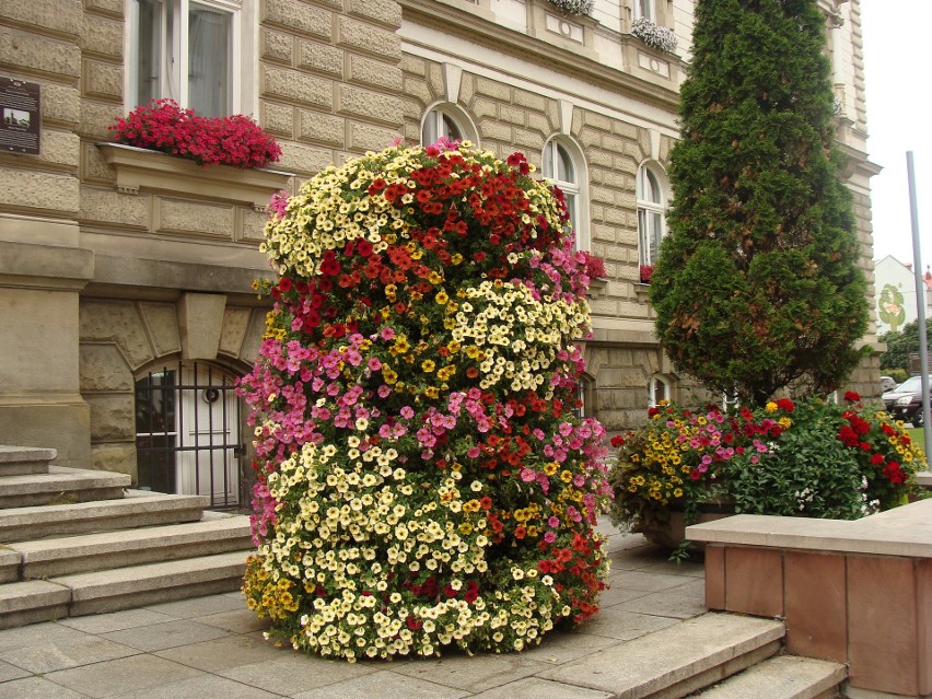 Kompozycja kwiatowa przed Urzędem Miejskim w Bielsku-Białej.