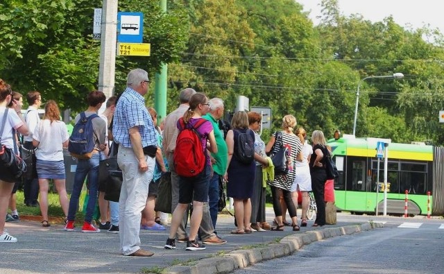 Na wielu przystankach T14 brakuje wiat