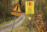 Finlandia. Szef Straży Granicznej chce postawić płot na granicy z Rosją, by zwalczać nielegalną imigrację