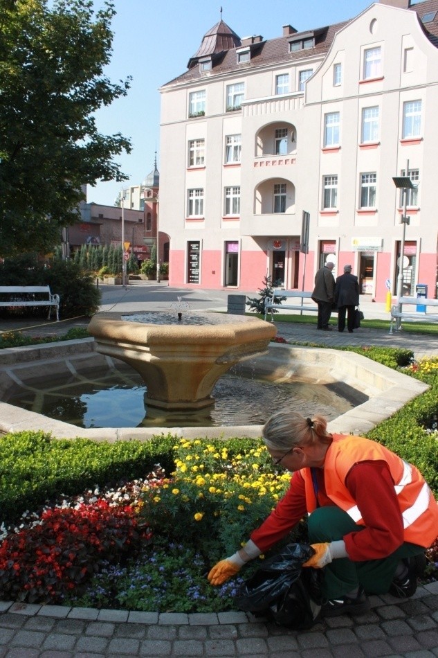 Czyszczą i zamiatają. Rybnik lśni przed Kongresem [ZDJĘCIA]