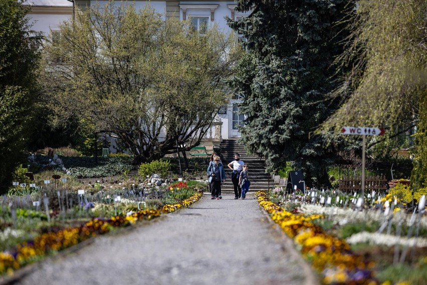 Ogród botaniczny założony w 1783 w Krakowie zajmuje...