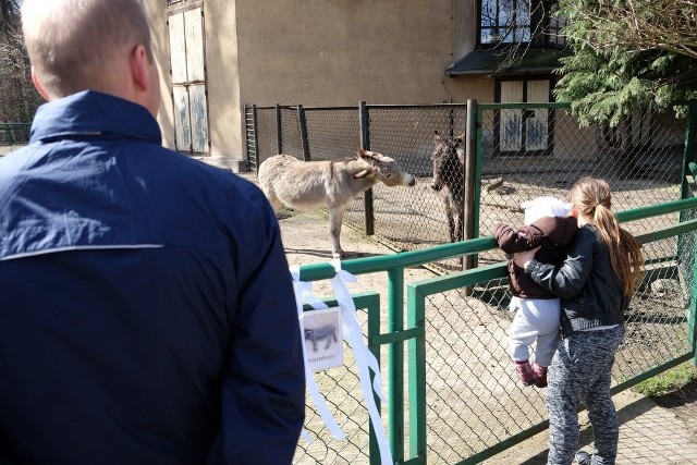 Wiosenna sobota w Starym Zoo