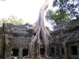 Cud świata -  Angkor Wat (zdjęcia)