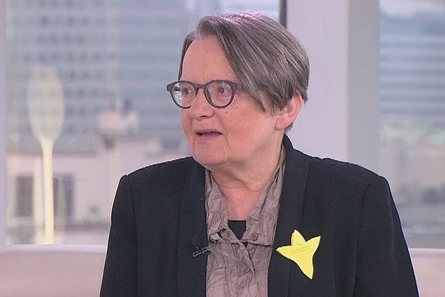 Agnieszka Holland (fot. Dzień Dobry TVN/x-news)