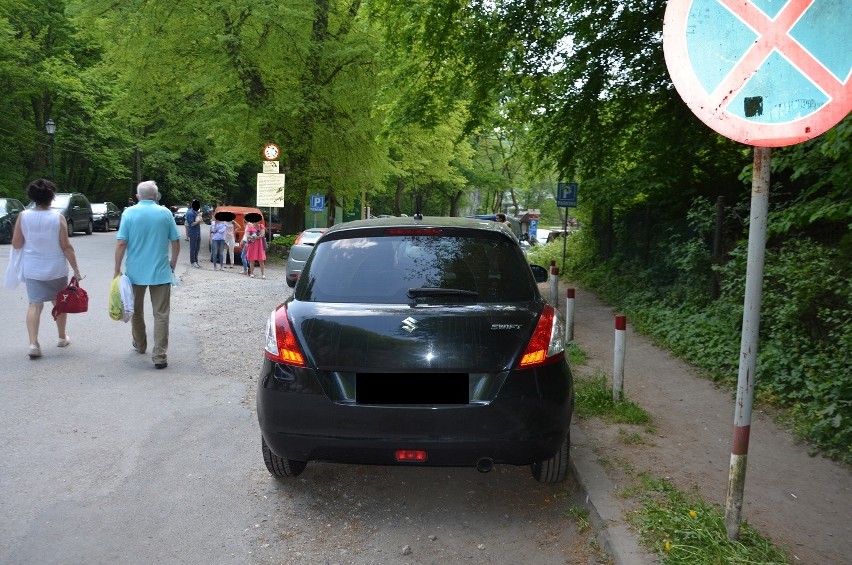 Policja walczy z nieprawidłowym parkowaniem w okolicy Ojcowskiego Parku Narodowego [ZDJĘCIA]