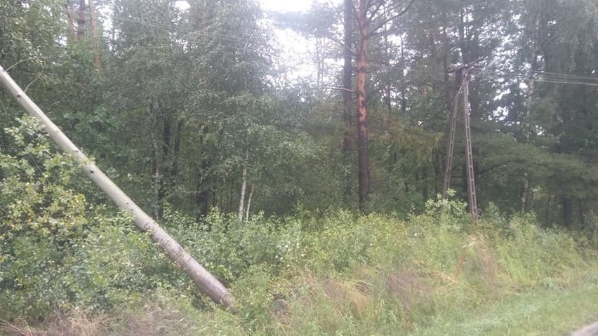 W miejscowości Stanowiska w gminie Kluczewsko złamane drzewo...