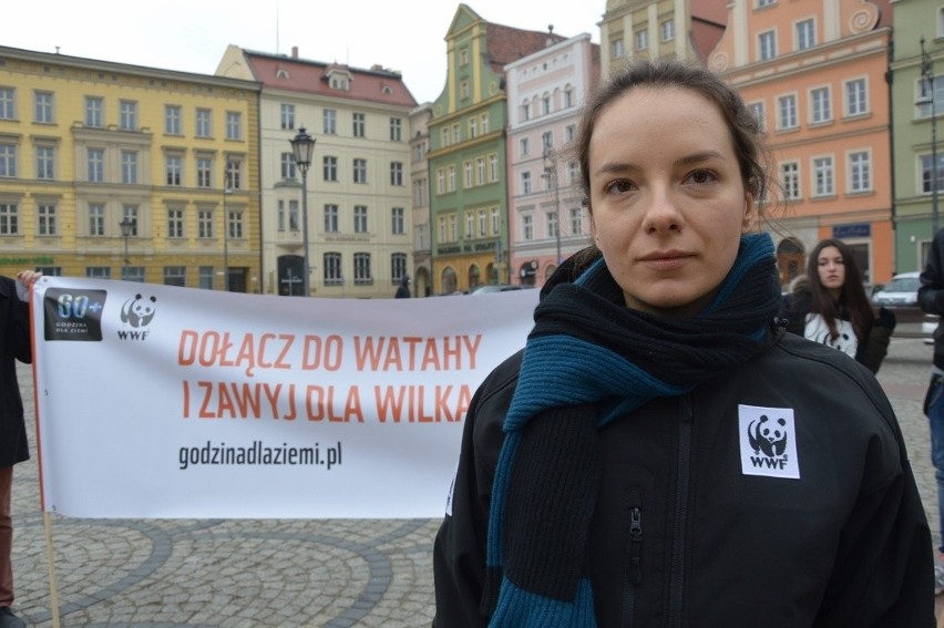 Godzina dla Ziemi 2016. W centrum Wrocławia zawyli dla wilków (ZDJĘCIA, FILM)