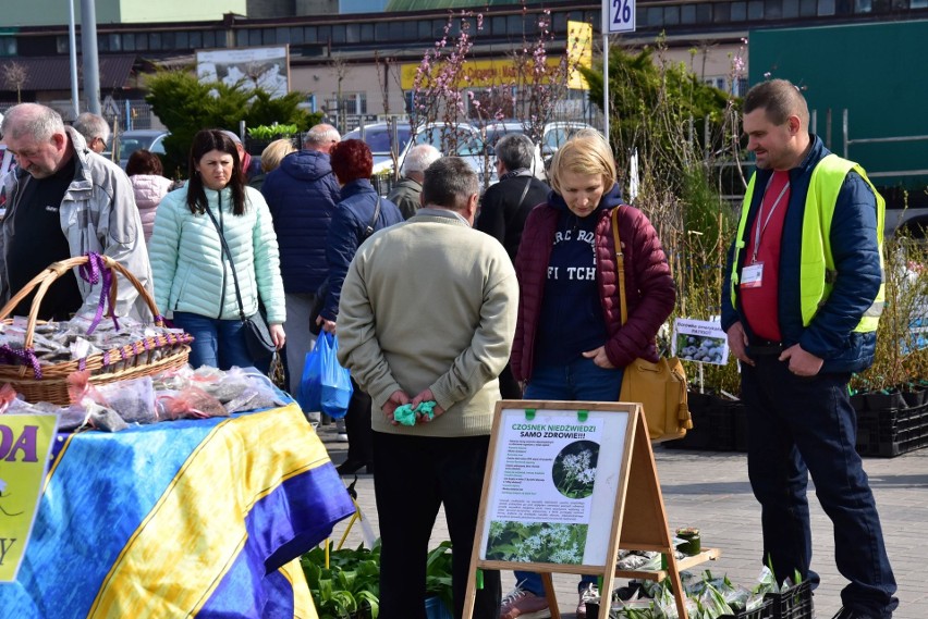 Trwają targi Dom, Ogród i Ty. W sobotę odwiedziły je tłumy mieszkańców z całego regionu świętokrzyskiego [ZDJĘCIA]