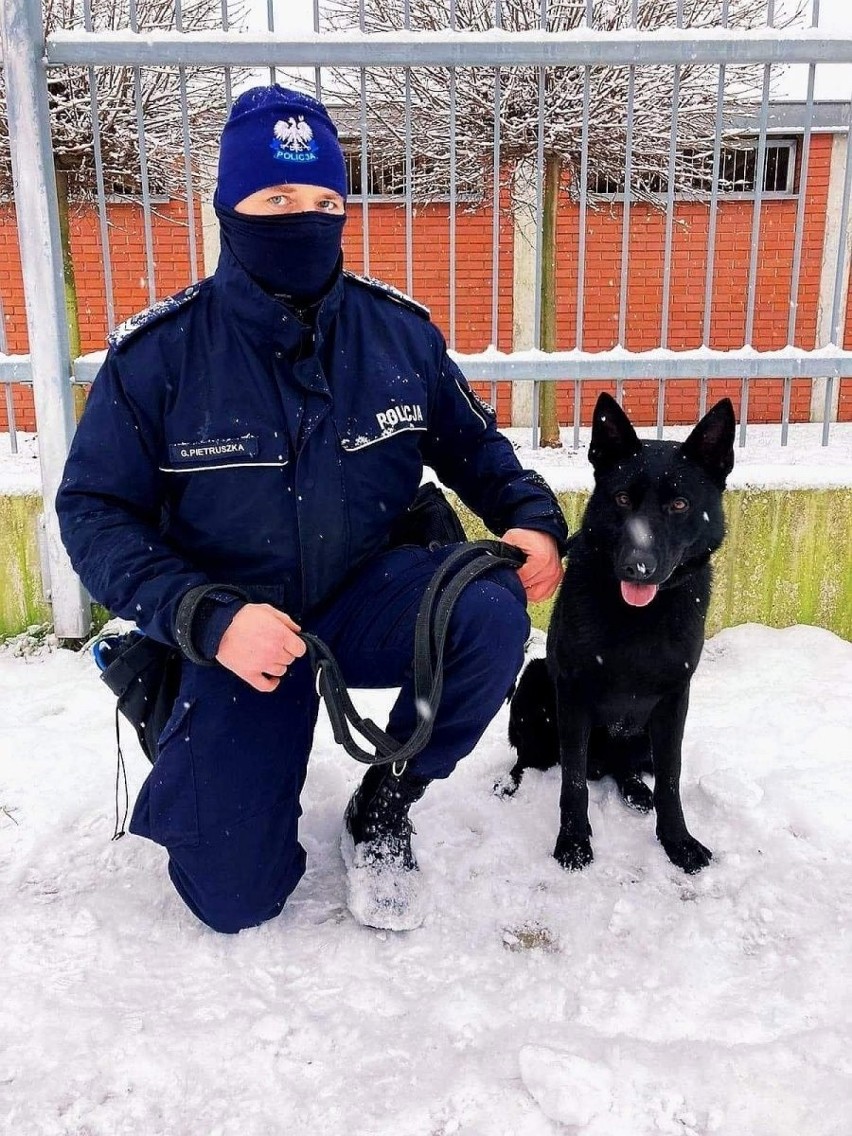 Otel, nowy pies policjantów ze Strzelec Opolskich.