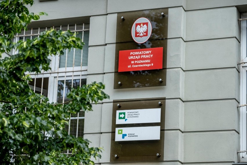 Urząd pracy: najnowsze oferty pracy w Poznaniu i Wielkopolsce. Zobacz,  jakie sprawy załatwisz w powiatowym lub wojewódzkim urzędzie pracy. | Głos  Wielkopolski