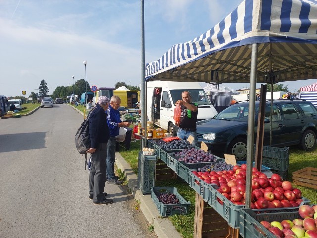 Śliwki na powidła i papryka na marynowanie to najchętniej kupowane w środę 14 września produkty na targowisku miejskim w Opatowie. Najchętniej kupowana była papryka, której jak mówią sprzedawcy, będzie w tym roku jej mniej i niestety będzie przez to droga, za kilogram musimy zapłacić około 7 złotych. Chętnie kupowane były dziś śliwki, których cena waha się od 2,5 do 3,5 złotych a niektóre, bardziej nowoczesne jej odmiany nawet  po 4 złote za kilogram. Odwiedzający opatowskie targowisko zainteresowani byli też orzechami laskowymi, niestety ich cena, około 18 złotych za kilogram, trochę odstrasza kupujących. Natomiast już pojawiły się grube skarpety oraz kalesony, typowy asortyment jesienno - zimowy. Zobaczcie na kolejnych slajdach ceny na targu w Opatowie w środę 14 września