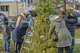 Mieszkańcy Żabianki, Jelitkowa, osiedla Tysiąclecia oraz Wejhera wzięli sprawy w swoje ręce i udekorowali drzewka świątecznymi ozdobami