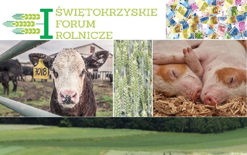 I Świętokrzyskie Forum Rolnicze w niedzielę, 24 czerwca w Kielcach. Zapisz się dziś   