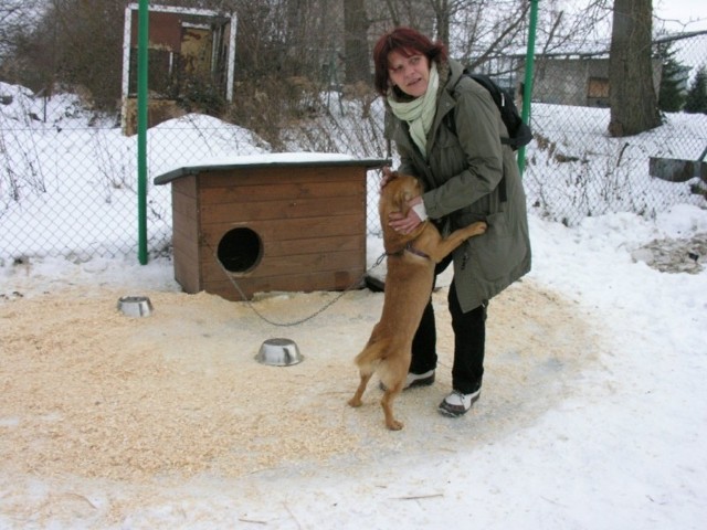 - Te psy najbardziej potrzebują ludzi, dlatego szukamy dla nich domów - mówi Arleta Dziok, jedna ze społecznych opiekunek.
