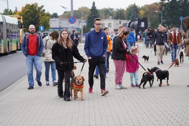 Wydarzenie rozpocznie się zbiórką na skwerze Karola Hoffmana. Marsz do Parku Jana Pawła II rozpocznie się o godz. 11. 