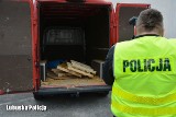 Policja Gubin. Funkcjonariusze odzyskali ponad tonę nielegalnego tytoniu. Zatrzymano czterech mężczyzn. Ile im grozi?