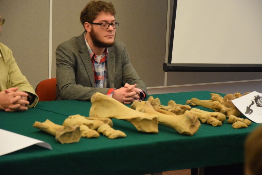 Naukowcy pokazali kości nosorożca sprzed 125 tys. lat