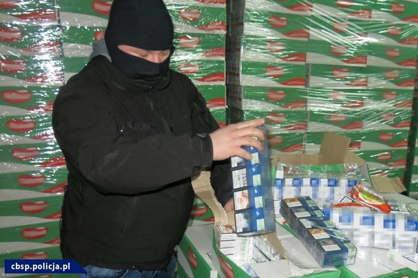 W Kielcach i Radomiu duża akcja policji i służb skarbowych. Przejęli papierosy warte ponad 15 milionów złotych. Dziewięć osób aresztowanych