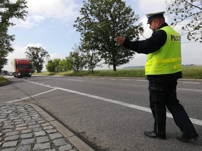 Akcja Truck & Bus na drogach powiatu nyskiego.