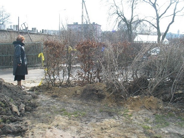 - Mamy wyrwany żywopłot, rozryty trawnik - poskarżyła się nam dyrektorka Jolanta Czarnecka