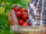 Dopłaty bezpośrednie 2018 - stawki. Dwukrotnie więcej za pomidory, mniej dla młodego rolnika [zdjęcia]