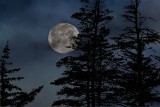 Mroźny Księżyc, czyli Pełnia Bobrów na listopadowym niebie. Czy pełnia Księżyca wpływa na człowieka? Potwierdzamy fakty i obalamy mity