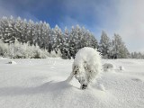 Pomysł na aktywny weekend? Zakochaj się w zimowym Malniku. „Bajka” 