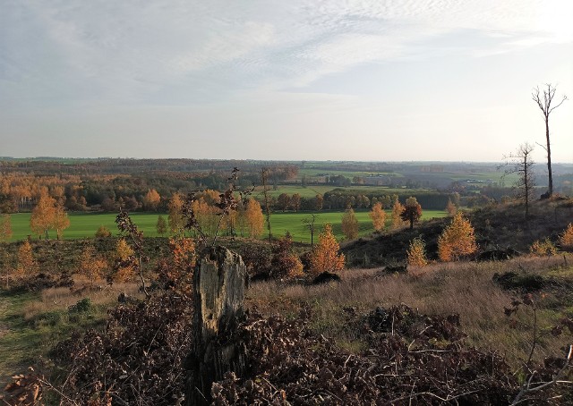 Wzgórze Wilhelma (171,06 m n.p.m.) to jeszcze mało znana atrakcja turystyczna naszego regionu. A przecież roztaczający ze szczytu widok nie ma sobie równych. Sami zobaczcie na kolejnych zdjęciach!