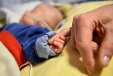 Trudna sytuacja w Małopolskim Hospicjum dla Dzieci. "Koszty wzrosły o kilkadziesiąt procent" 