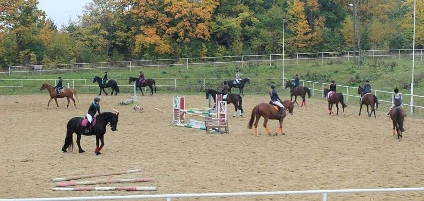 Agroturystyka na Pomorzu przeżywa renesans! Urlop na wsi cieszy się większym zainteresowaniem niż przed rokiem. Ile kosztują takie wakacje?