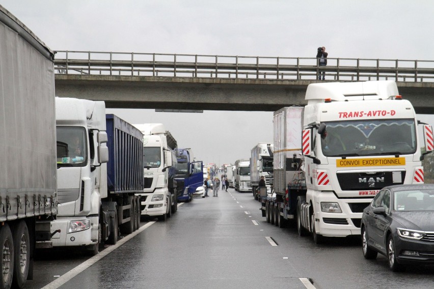 Kierowca tira to ciężka praca, ale dobrze płatna