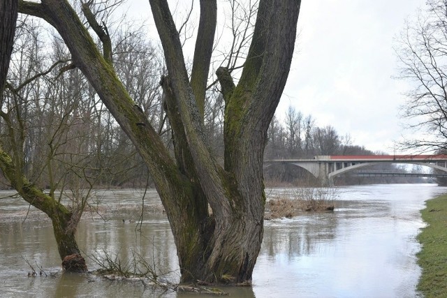 W powiatach oświęcimskim i wadowickim po kilku dniach opadów podniósł się stan rzek