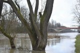 Rośnie poziom Soły w Oświęcimiu i Wisły w Jawiszowicach (gmina Brzeszcze) oraz Skawy w Zatorze i Wadowicach. Zdjęcia