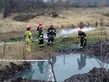 Awaria rurociągu w gminie Dolice. Ścieki leciały do rzeki Mała Ina i na pole ZDJĘCIA