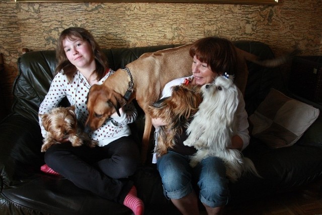 Hodowla psów to nie tylko rozmnażanie i czerpanie korzyści &#8211; mówi Małgorzata Nowak (z prawej). &#8211; To ciągła nauka o zwierzęciu i nieustanna pielęgnacja, przy której pomaga mi rodzina.