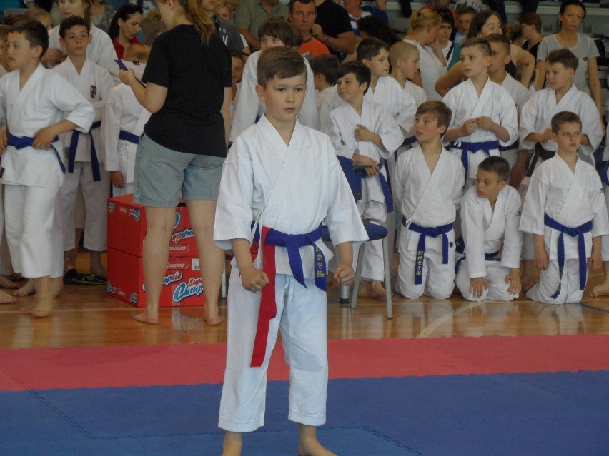Bytom: Silesia Cup 2016 karate w Hali na Skarpie